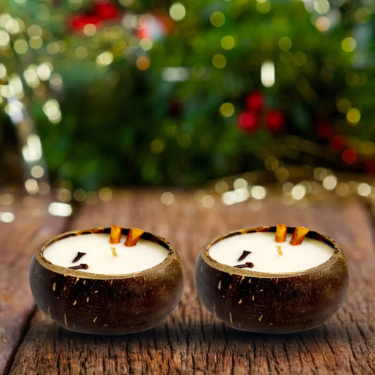 Coconut Shell Candle