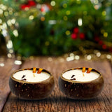 Coconut Shell Candle